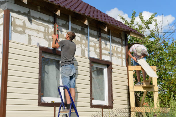 Best Steel Siding Installation  in St Anne, IL