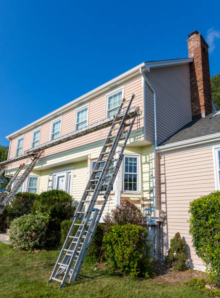 Best Vinyl Siding Installation  in St Anne, IL